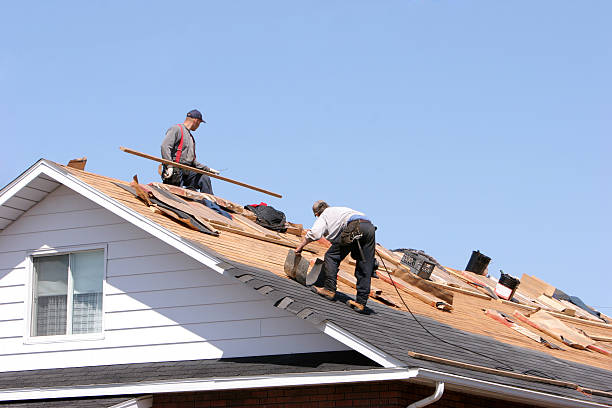 Best Sheet Metal Roofing  in Barrington, IL