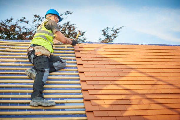 Best Rubber Roofing (EPDM, TPO)  in Barrington, IL