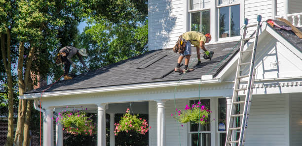 Best Roof Coating and Sealing  in Barrington, IL